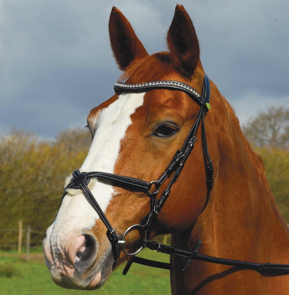 English Bridle Cowhide Genuine Leather Headstall Reins Horse Crossover Crossunder Raised Fancy Stitched Laced All Purpose Jumping Dressage Rubber Crystal Padded Adjustable Browband Full-Cob,M38