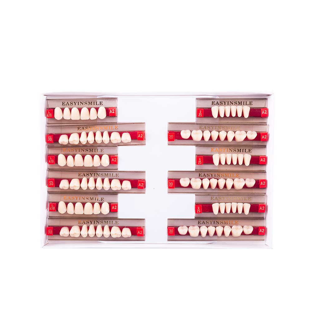 Amazon.com: Easyinsmile Dental Synthetic Resin Teeth A2 A3 False