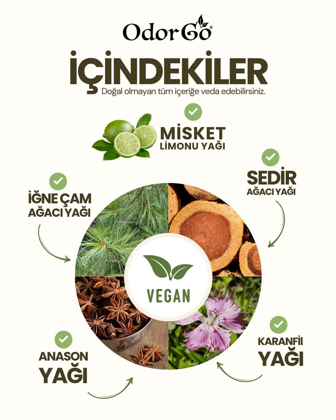 ODORGO Bitkisel Soya Mum 230g – Ahşap Kapaklı, Özel Hediye Kutusunda (Yeşil) – Koku Yok Edici, Vegan
