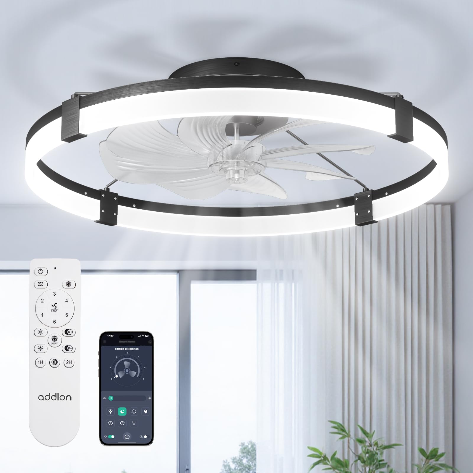 addlon 24" Ceiling Fans with Lights and Remote, Low Profile Fandelier