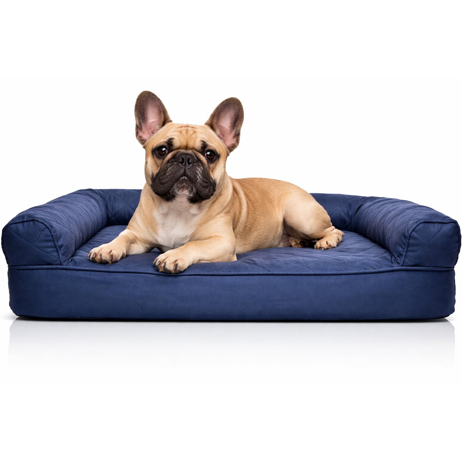 Furhaven Orthopedic Dog Bed for Medium/Small Dogs w/ Removable Bolsters & Washable Cover, For Dogs Up to 35 lbs - Quilted Sofa - Navy (Blue), Medium