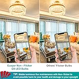 G9 LED Light 3W Warm White 2700K, 420LM Equivalent to 28W-40W Halogen for Desk Lamp, Non-Flicker, AC 220-240V, 360° Beam Angle, 5 Pack - Image 5