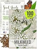 Seed Needs, White Swamp Milkweed Seeds - 100 Heirloom Seeds for Planting Asclepias incarnata - Perfect Host Plant for a Butterfly Garden to Attract Monarchs (1 Pack)