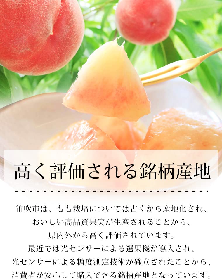 Amazon.co.jp: 桃 一宮支所のもも 約2kg（約1kg（5～7玉）×2箱） JA