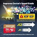 [5-Yrs Free Data Recovery] GIGASTONE 256GB Micro SD Card, 4K Game Pro MAX, A2 V30 MicroSDXC Memory Card for Nintendo-Switch, SteamDeck, 4K UHD Video, Up to 130/85 MB/s, UHS-I U3 C10 with Adapter gallery image