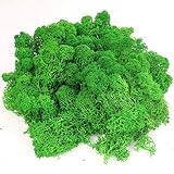 AMEICE Moss Preserved Reindeer Forest Moss Naturally Preserved Prefect Decor for Fairy Gardens,...