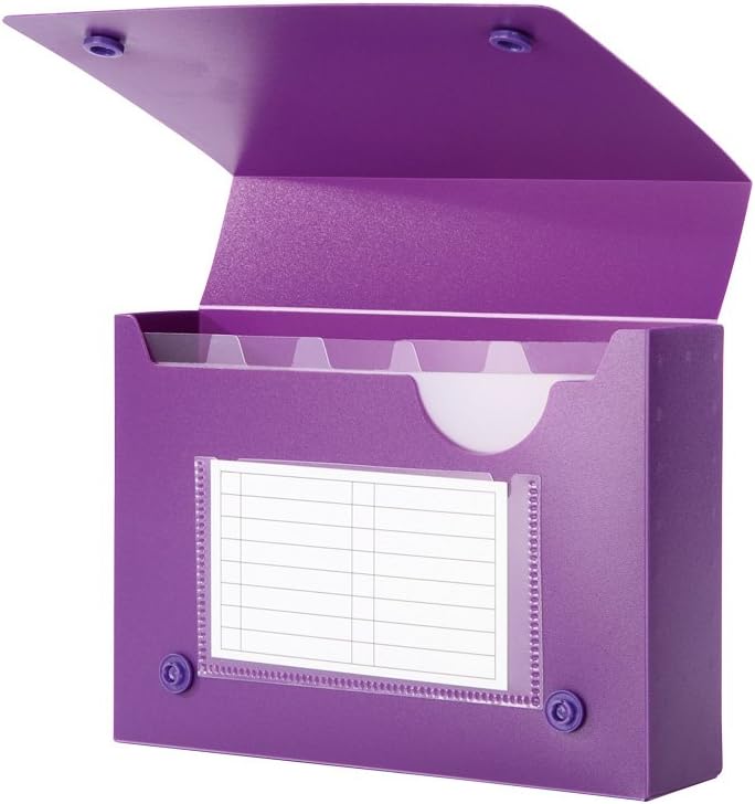 Filexec 4 x 6 Inch Index Case, Snap Button Closure, 5 Index Dividers, Assorted (Pack of 4) (50097-2026), Blue, Hot Pink, Purple, Green