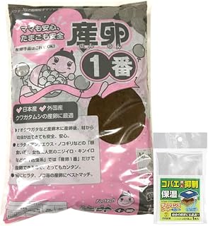 Fortec 产鸡蛋1号【5升】日本产・日本产锹形虫产鸡蛋用垫 【附带1张美谷 隔扇垫】