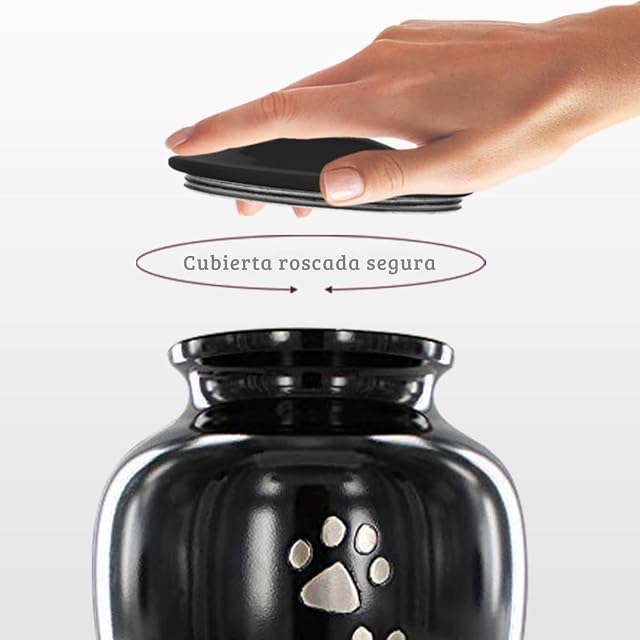 Foto 4 de 6 de Trupoint Memorials