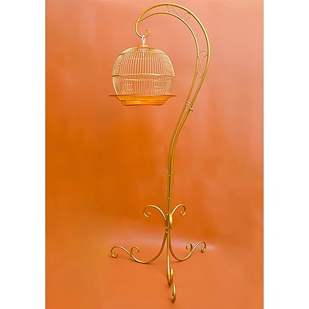 Amazon 鳥かご 鳥かごスタンド セット 鳥ケージ 豪華ケージ 鳥ケージスタンド 大きいケージ バードケージ バードパレス オウムケージ はしご ブランコ付き 文鳥 インコ ゴールド 38 38cm Xpossible 鳥かご ケージ 通販 Amazon 鳥かご 鳥かごスタンド セット 鳥ケージ 豪華ケージ 鳥ケージスタンド 大きいケージ バードケージ バードパレス オウムケージ はしご ブランコ付き 文鳥 インコ ゴールド 38 38cm Xpossible 鳥かご ケージ 通販