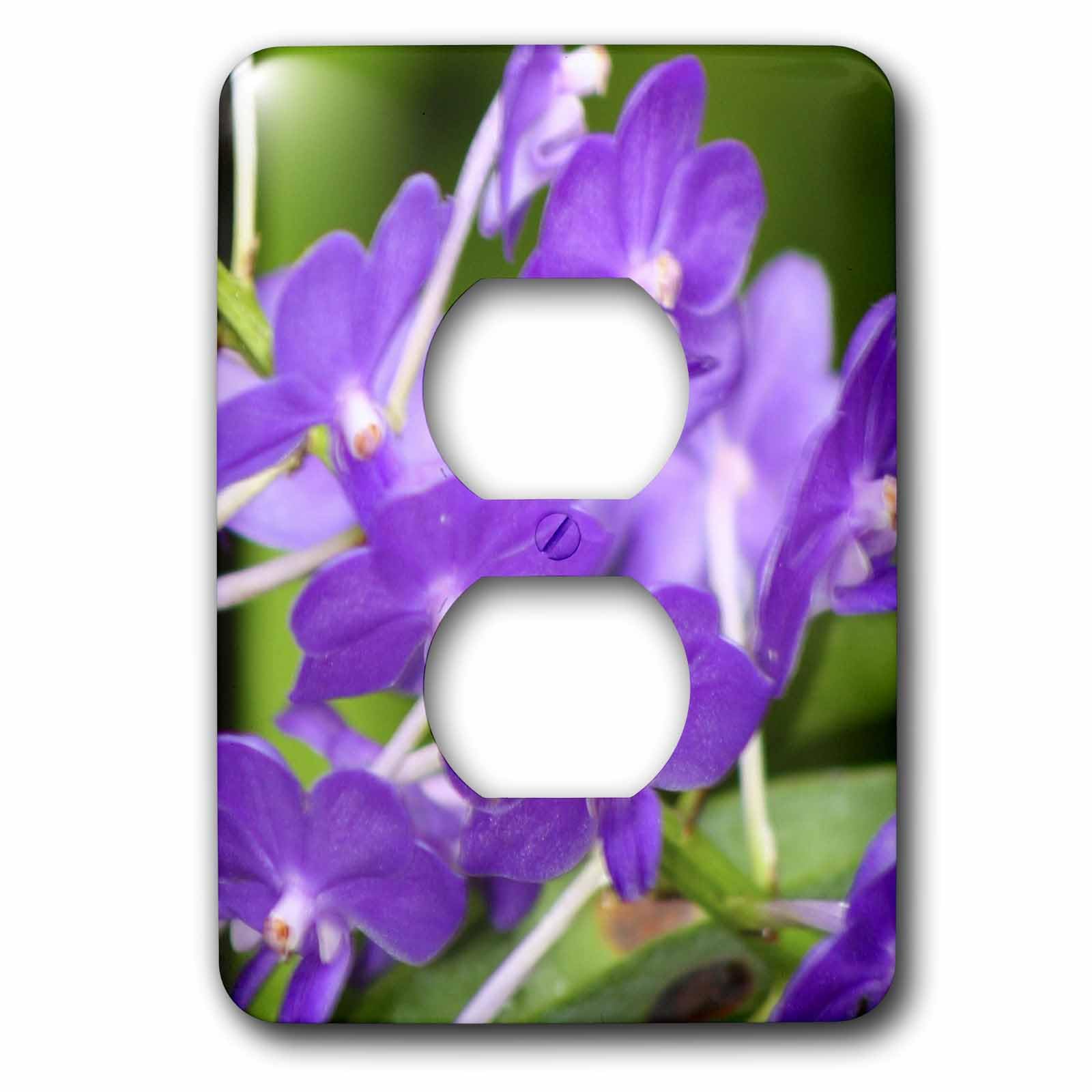 Cache prise Orchid Ff avec double ouverture pour une finition murale parfaite