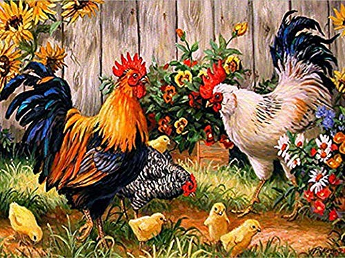 TINDAY Paint by Number Chicks DIY Paint by Numbers Kit for Kids Adults Beginner DIY Canvas Painting by Numbers Painting Acrylic Painting for Home Decoration Hen Chicks 16x20 Inch