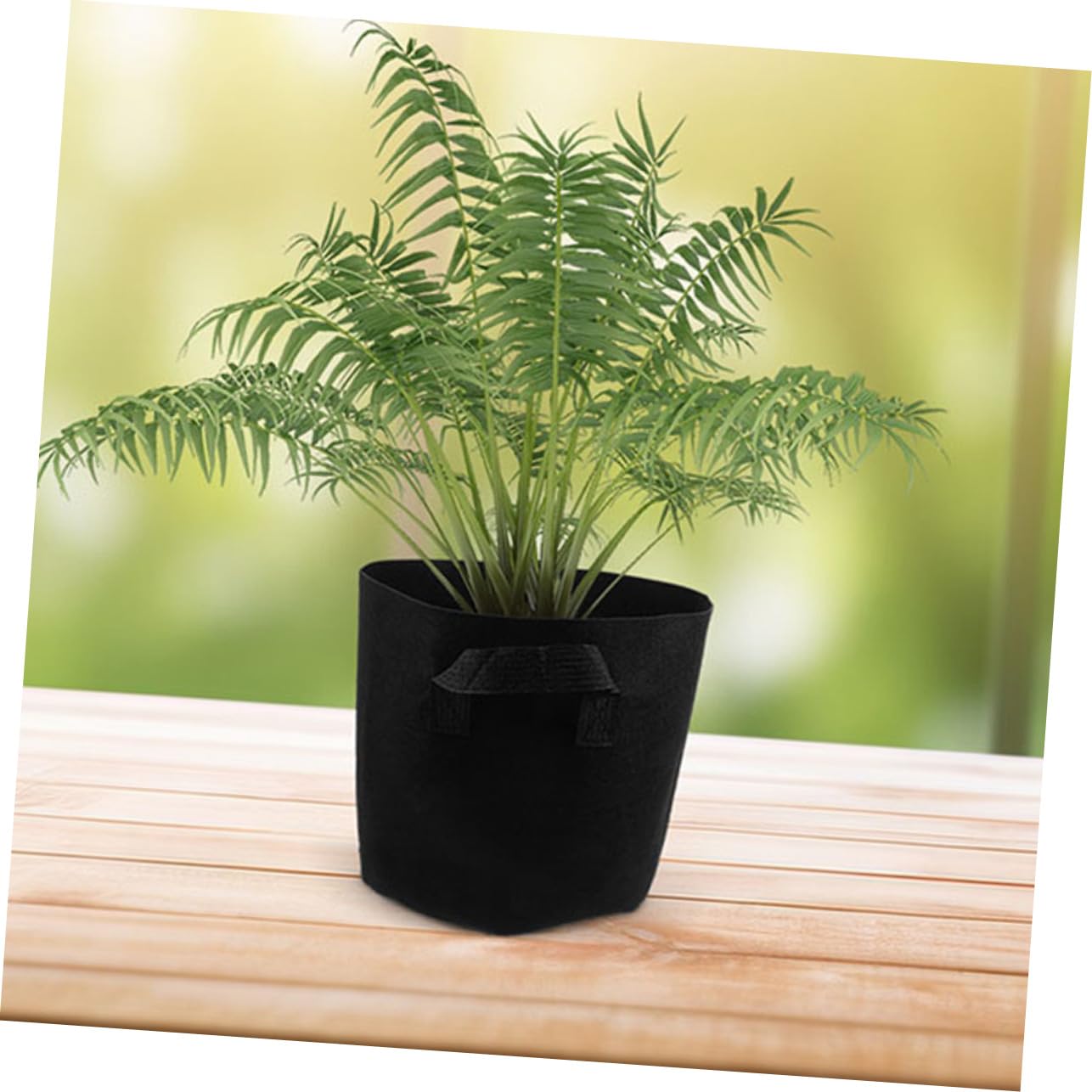 INOOMP 5piezas Bolsas de Cultivo de Fieltro para Plantar Macetas de No Tejida Asas para Cultivo de Verduras para Interior