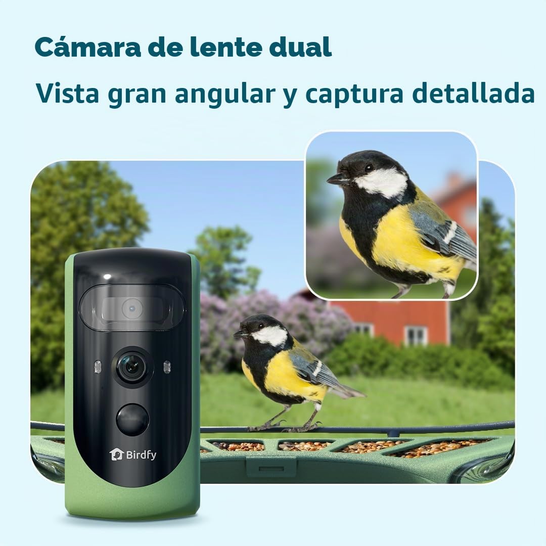 Birdfy 2 Pro - Alimentador de pájaros con 2 K Dual-Camera para observación, identificación de Especies de Aves AI, Video a cámara Lenta, visión Nocturna en Color, notificaciones en Tiempo Real