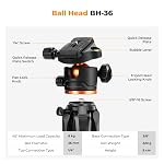 K&F Concept Tripod, 75" Camera Tripod with Remote and 2-in-1 Phone Holder,Travel Phone Tripod with 360° Rotation Metal Ball Head Load Capacity 17.6lbs,Lightweight Outdoor Tripods for DSLR Camera