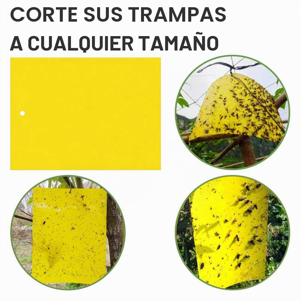 Sunshine smile 40 Piezas Trampa Moscas, Pegatinas Adhesivas de Papel de Mosca Amarillas, atrapamoscas para Plantas, Trampas de Mosca pegajosas (40-Amarillo)