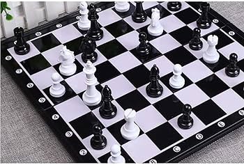 Amazon.co.jp: チェス 黒と白の駒が付いたチェス盤チェスセット
