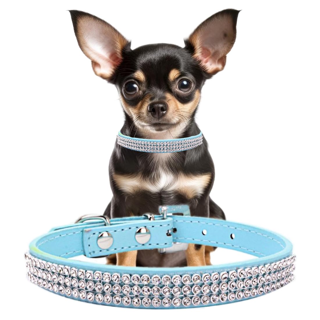 Collier bleu clair scintillant pour chiot idéal pour les balades et séances photo de taille S