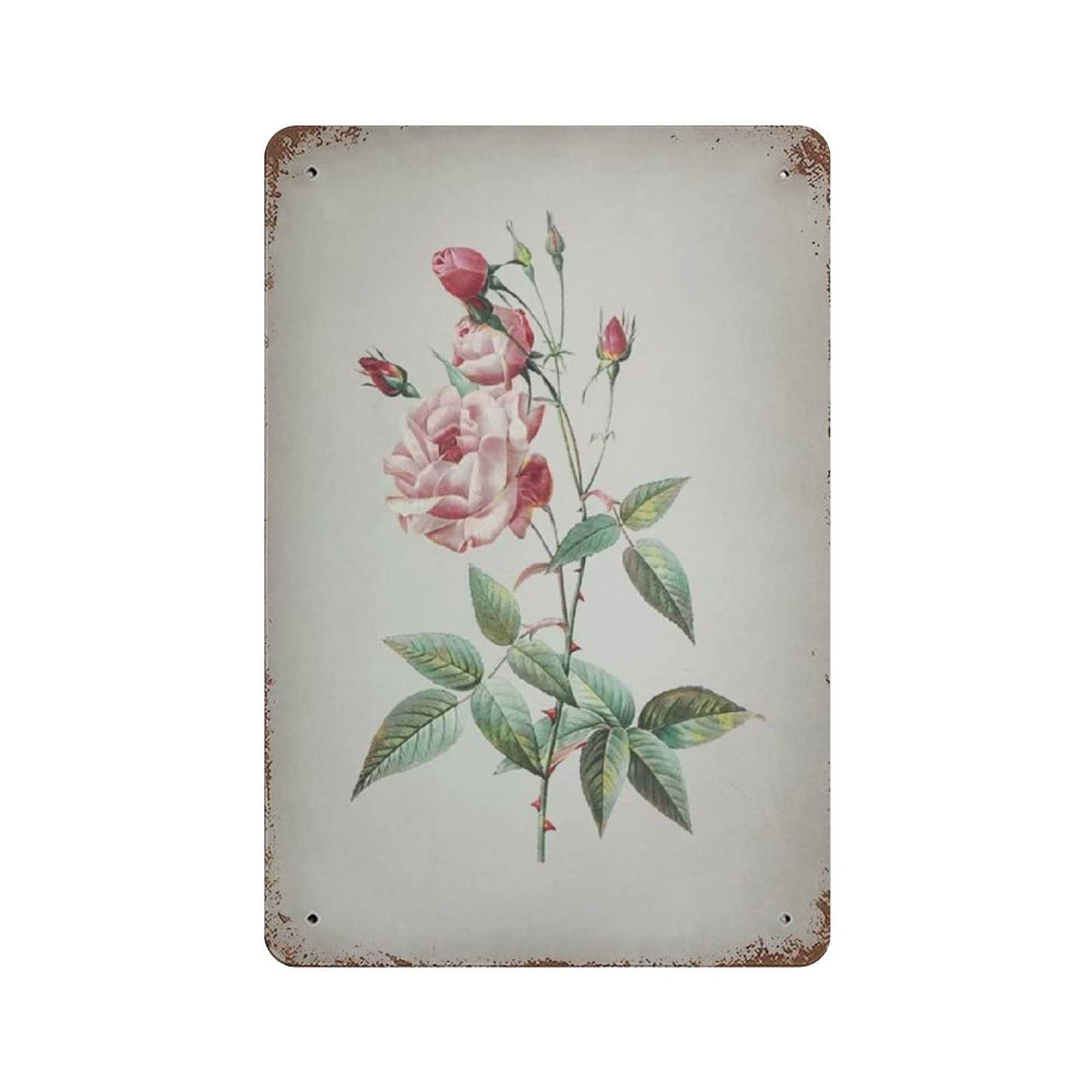 rayprint Beautiful Flower Tin Sign Metal Plaque Art Hanging Iron Painting Retro Home Kitchen Garden Garage Wall Decor 12"X8"