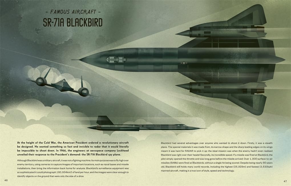Aviation: A Visual History of Aircraft (Locomotion)