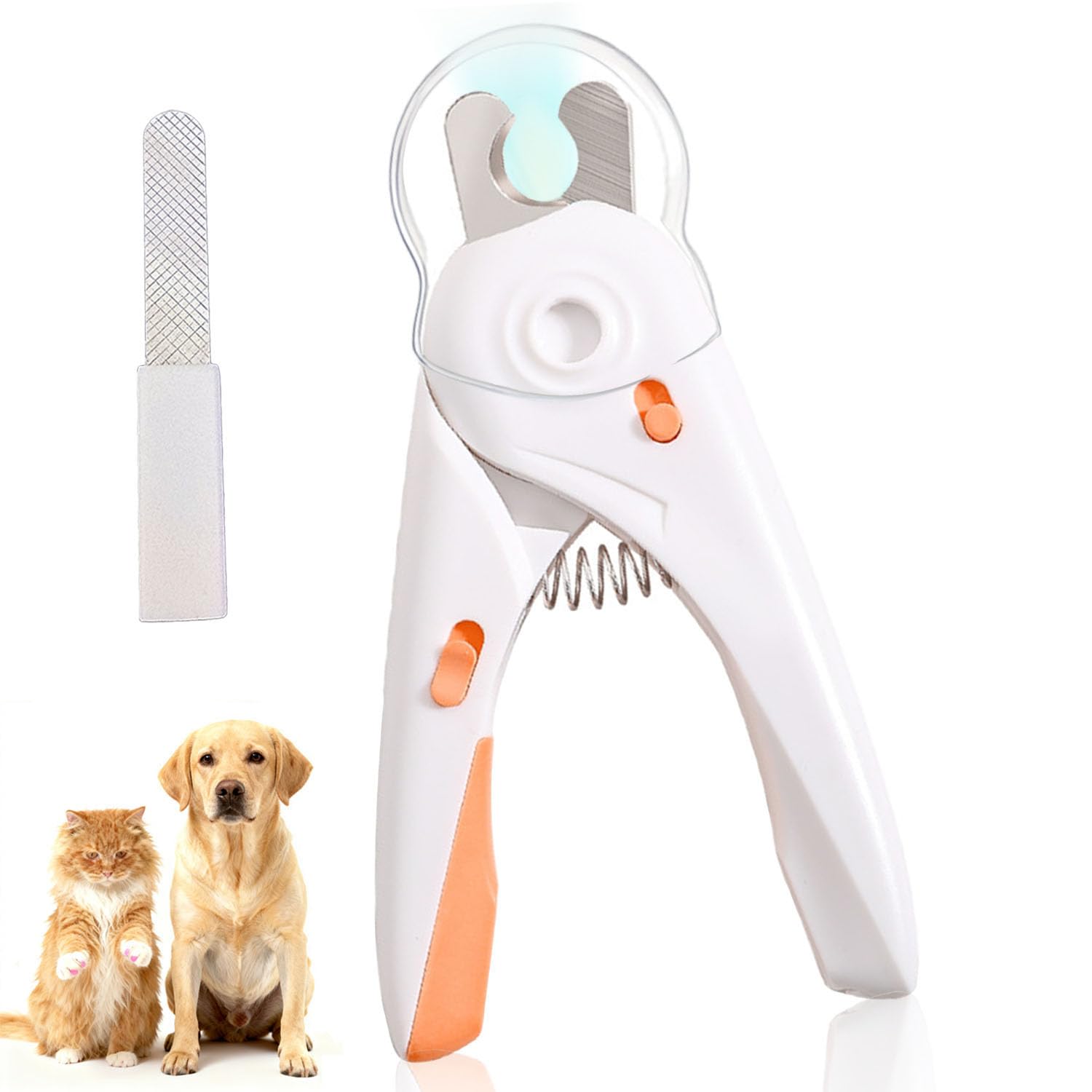 Coupe-ongles LED pour chien pour un toilettage serein et sécurisé à la maison