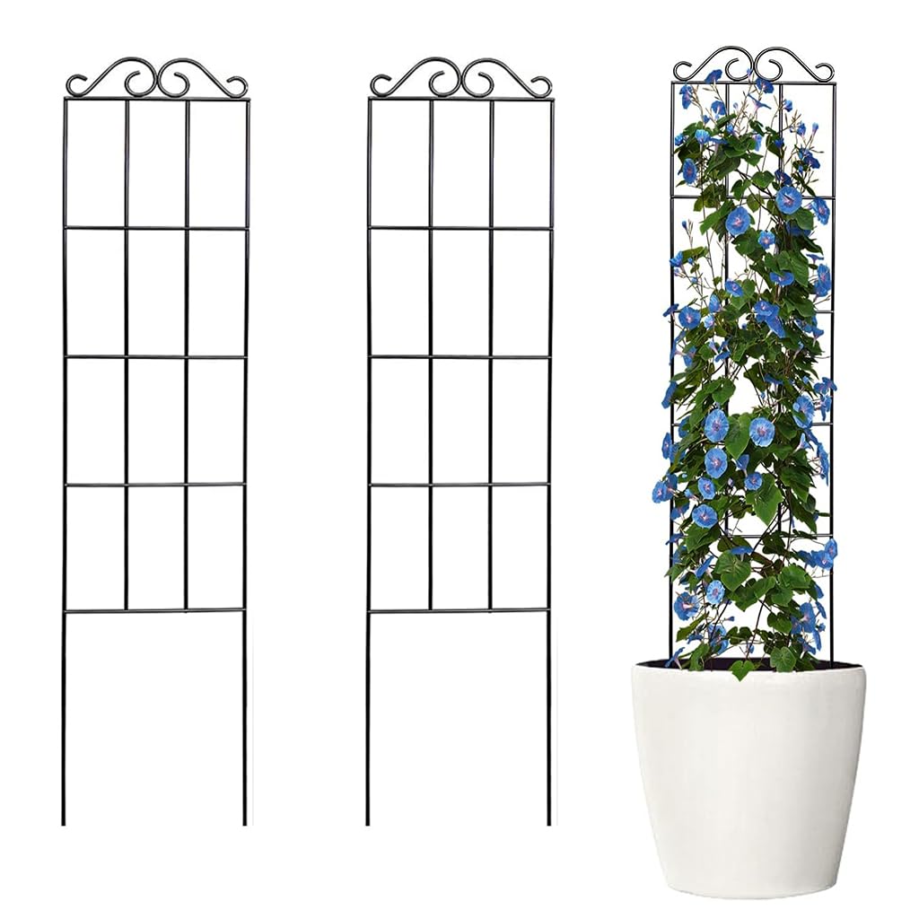 HASTHIP® 2 Pack Metal Garden Trellis for Climbing Plants, Grid Insert-In Plant Creeper Support for Garden, Plant Support for Climbers, Plant Climber Support, 50X15CM Trellis for Plant Ivy, Vine, Rose-image-40