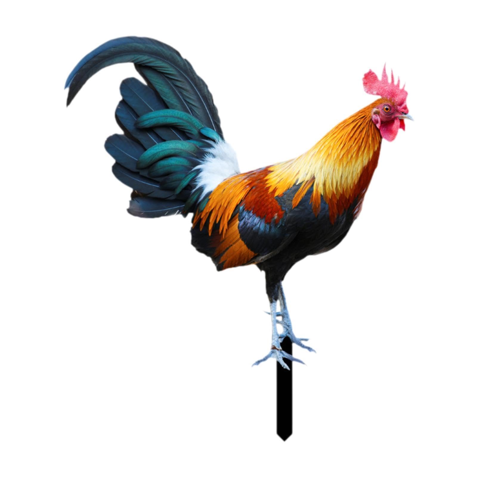 Rooster Garden Stake Yard Sign Realistic Yard Art for Lawn Pathway Courtyard 21.5cmx25cm-image-6