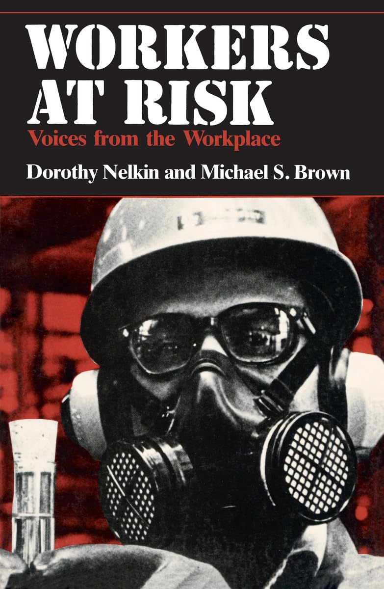 Workers At Risk Voices from the Workplace by Howard Margolis PAPERBACK