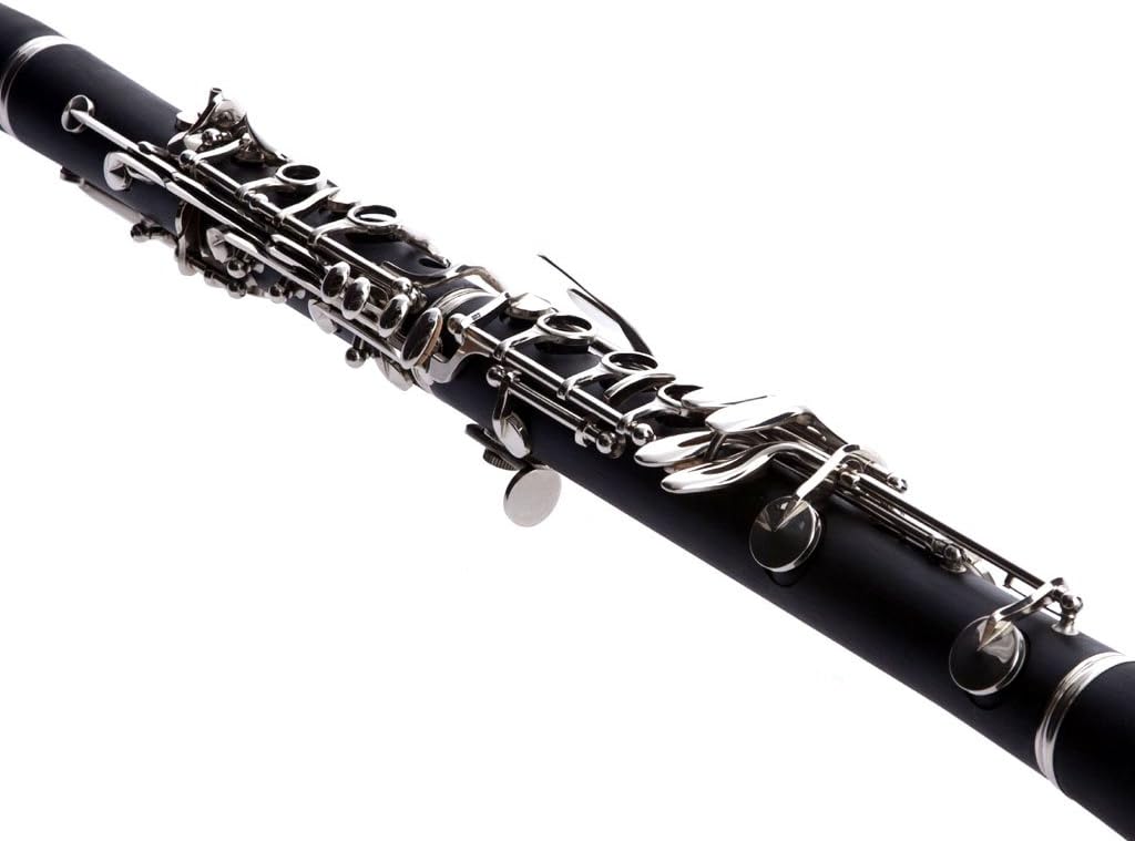 Hawk WD-C212 Bb Clarinet Outfit Matte Finish with Case, Mouthpiece and Reed