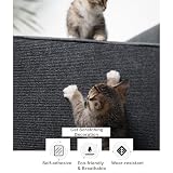 Ver la foto 7