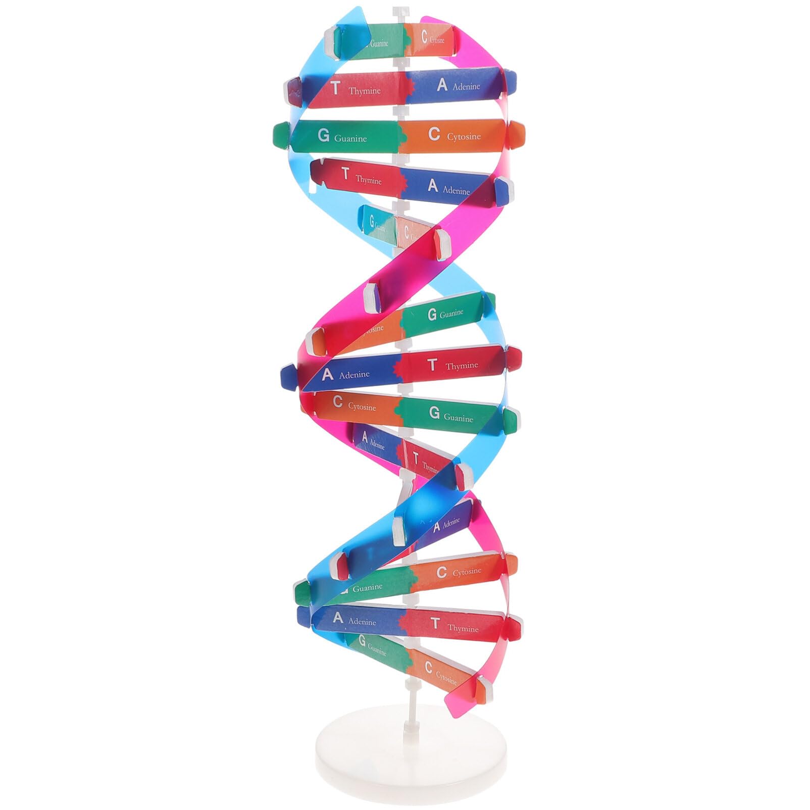 ULTECHNOVO DNA Models Double Helix Model Human Genes Science Educational Teaching Instrument Toy for Children Student Teacher