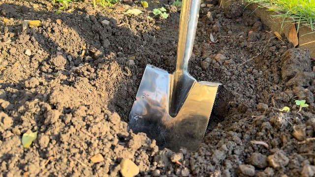 Amazon.com : Spear & Jackson 4650PS Traditional Stainless Planting