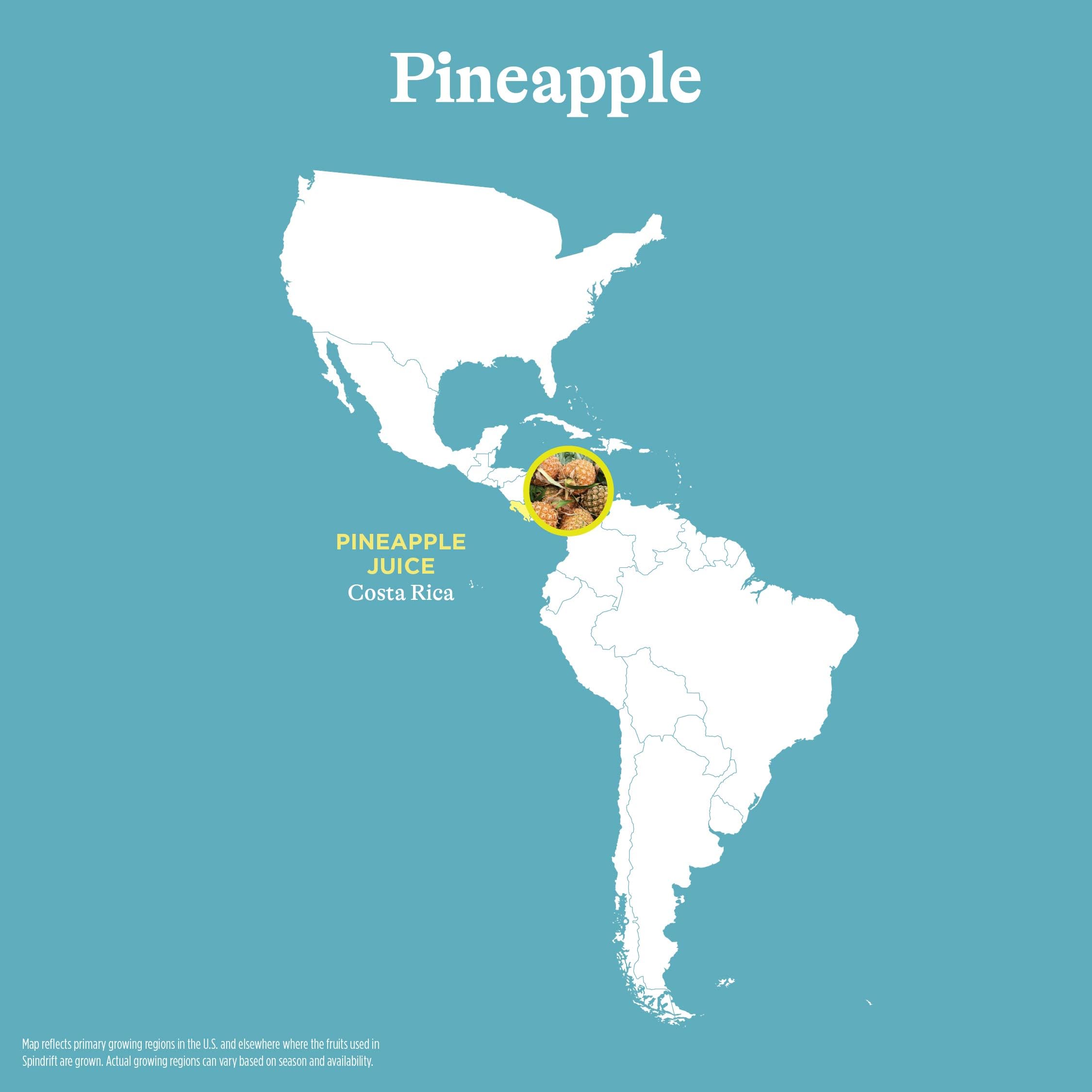 Spindrift Pineapple Sparkling Water Can 12 Ounce (Pack of 24)