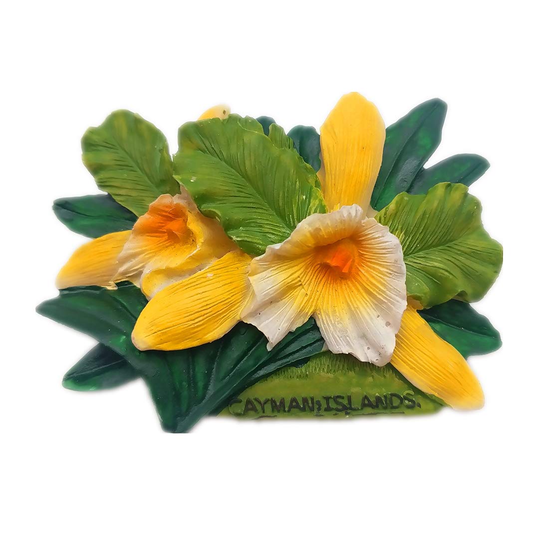 Flower Cayman Islands 3D Refrigerator Fridge Magnet Travel City Souvenir Collection Kitchen Decoration White Board Sticker Resin