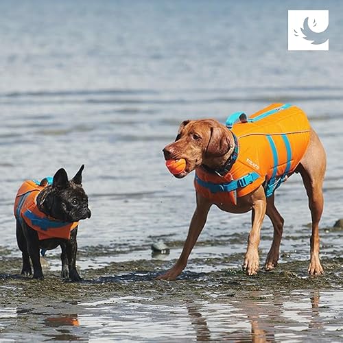 Miniatura 5 de RC Pets Tidal - Chaleco salvavidas ajustable para perro, naranjaverde azulado, talla XXS