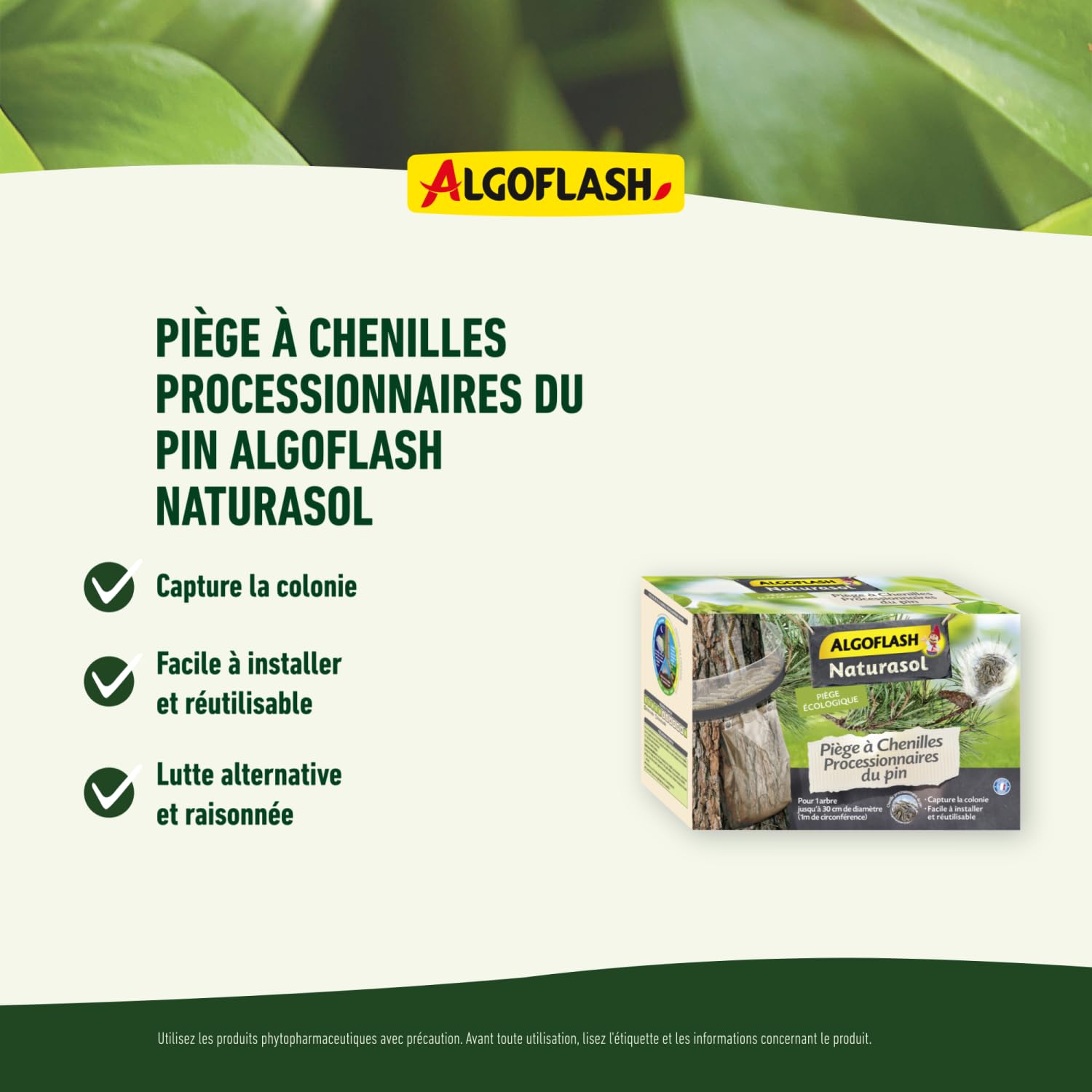 ALGOFLASH NATURASOL Pułapka gąsienicowa z drewna sosnowego, wyprodukowana we Francji, kompletny zestaw, 1 pułapka, BIOPIPIN2N