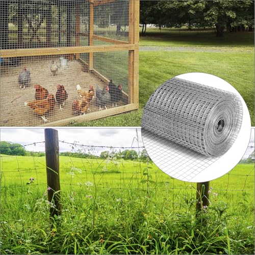 QWORK® Verzinktes Drahtgitter, 1 x 20 m Maschendrahtgeflecht, 12.7 mm Löcher Drahtgitter Feinmaschig, Maschendrahtzaun, für Hühnerställe, Kaninchengehege