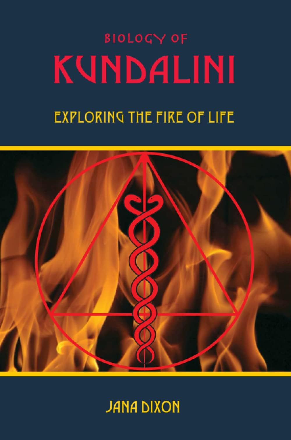 Biology of Kundalini Paperback – April 10, 2008