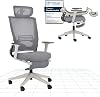 FLEXISPOT Foldex Ergonomic Office Chair with Foldable Backrest, Folding Desk Chair for Small Spaces with Lumbar Support, Height-Adjustable Armrests, 2D Headrest and Footrest for Home Office - Gray