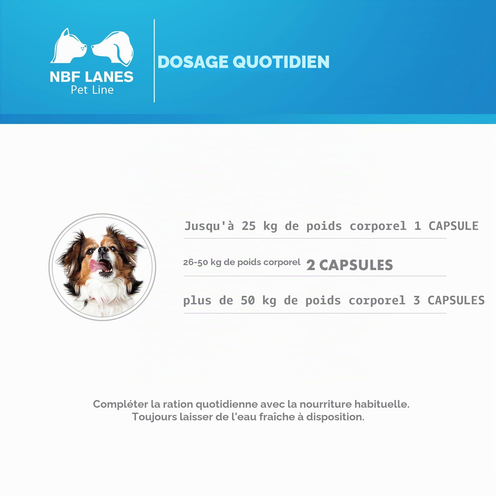 NBF Lanes | Reuteral Pet Chien, 30 Capsules, Probiotique à base de ferments lactiques vivants pour la stabilisation de la flore intestinale chez les chiens