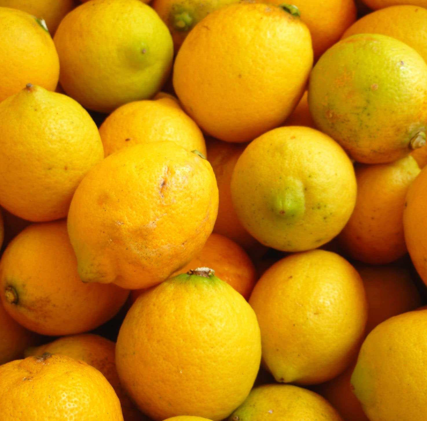 Amazon.co.jp: 国産レモン 農薬不使用 3kg AB混合品 瀬戸田レモン