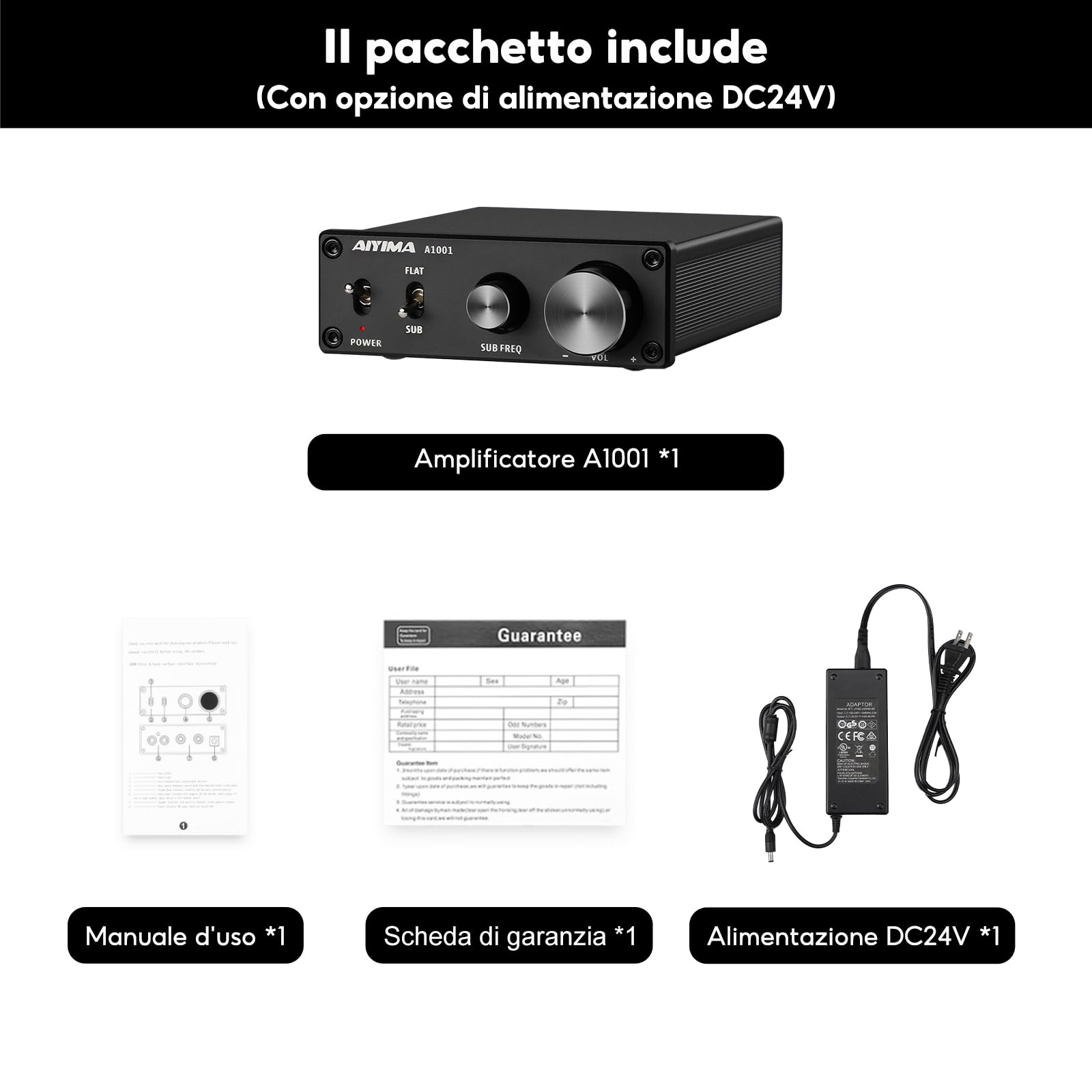AIYIMA A1001 Mono amplificatore subwoofer amplificatore classe D HiFi Digital Power Amplificatore audio AMP 100W Home Theater with 24V power supply