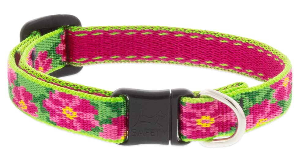 Collar de seguridad para gatos Lupine con nailon tejido reforzado