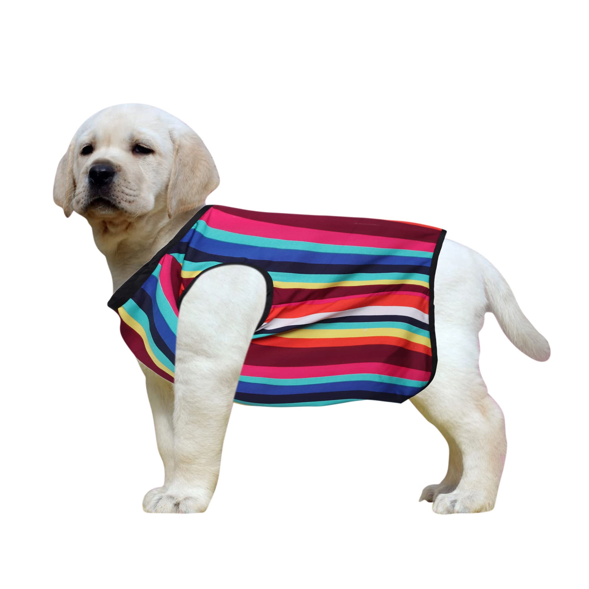 See full amazon price history chart for Western Era Funky Soft Cotton Dog T-Shirt | Comfortable & Breathable Dog Clothing | Sleeveless Vest Puppy Outfit |(Color Strips) (Small) (14inches) Western Era Funky Soft Cotton Dog T-Shirt | Comfortable & Breathable Dog Clothing | Sleeveless Vest Puppy Outfit |(Color Strips) (Small) (14inches) (B09WQMX1F5) Amazon Price History, Amazon Price Tracker