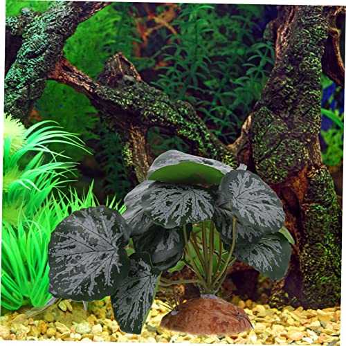 POPETPOP Abbellimento della Scatola dell'animale