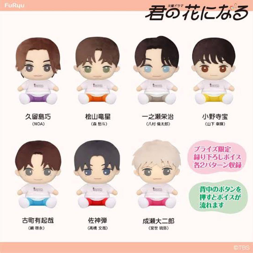Amazon.co.jp: 君の花になる 8LOOM ブルーム ボイスぬいぐるみ 6個  