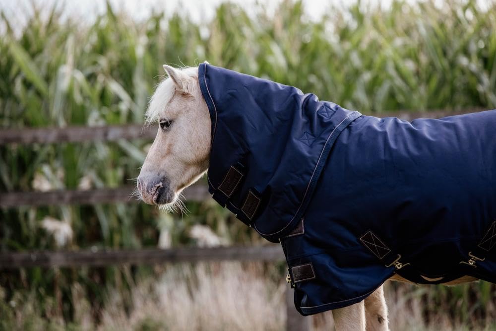 Kentucky Manta Impermeable para Caballos All Weather Pro Tiny 300g