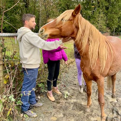 WARNING: You cannot unsee this! What is wrong with the horse industry?