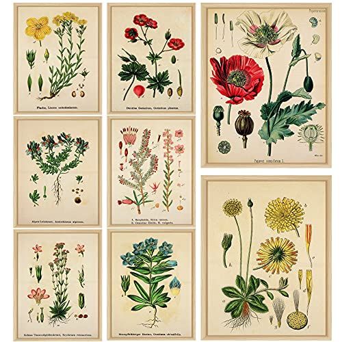 8 Pieces Flower Tapestry Floral Plant Tapestry Vintage Door Tapestry Colorful Wildflower Tapestry Wall Hanging Herbs Floral Print Tapestry Nature Scenery Tapestry for Bedroom Living Room Decoration