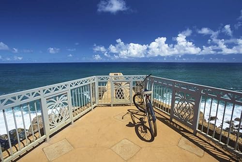 Posterazzi DPI12267165LARGE Pineapple Drop Off Kealia Coastal Bike Path Kauai, Hawaii, Estados Unidos de América, impresión fotográfica, 38 x 24,